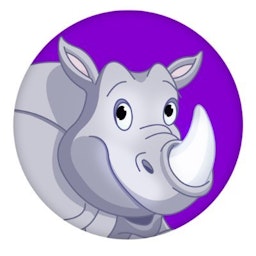Ryn VPN logo